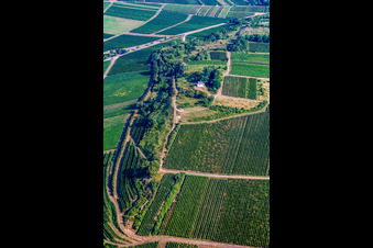 Aerial view of Nature reserve and chapel Kleine Kalmit in Ilbesheim bei Landau in the state Rhineland-Palatinate, Germany