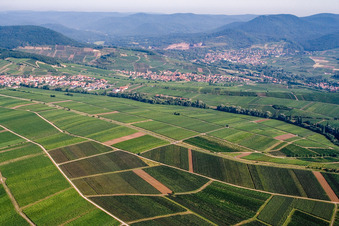Aerial view of Ranschbachtal from the southeast in the district Arzheim in Landau in der Pfalz in the state Rhineland-Palatinate, Germany