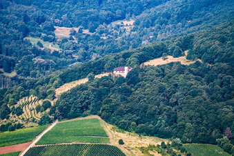 Slevogthof from the east in Leinsweiler in the state Rhineland-Palatinate, Germany