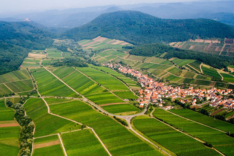 Fields of wine cultivation landscape in Ranschbach in the state Rhineland-Palatinate