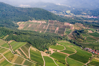 Keschdebusch (Kastanienbusch) vineyard in Birkweiler in the state Rhineland-Palatinate, Germany