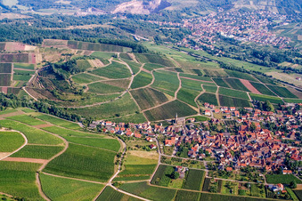Aerial view of Keschdebusch (Kastanienbusch) vineyard in Birkweiler in the state Rhineland-Palatinate, Germany