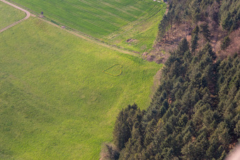 Spring love at Biberach in the Kinzigtal in the Black Forest in Biberach in the state Baden-Wuerttemberg, Germany