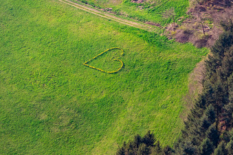 Aerial view of Spring love at Biberach in the Kinzigtal in the Black Forest in Biberach in the state Baden-Wuerttemberg, Germany