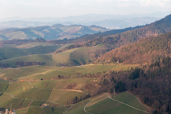 Ortenau wine region in Ortenberg in the state Baden-Wuerttemberg, Germany