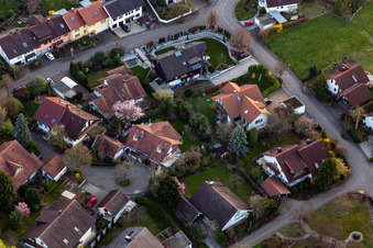 Im Ries, Im Laulesgarten from the northeast in the district Fessenbach in Offenburg in the state Baden-Wuerttemberg, Germany