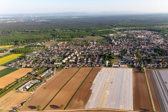 Kandel in the state Rhineland-Palatinate, Germany