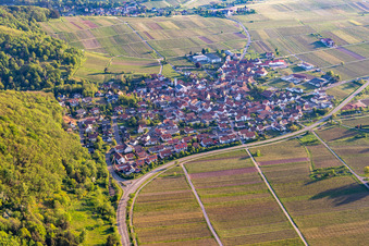 Eschbach in the state Rhineland-Palatinate, Germany viewn from the air
