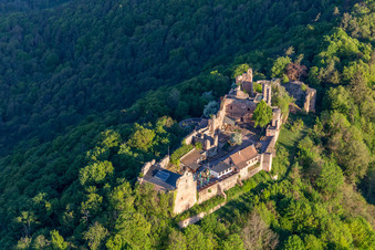Bird's eye view of Madenburg in Eschbach in the state Rhineland-Palatinate, Germany