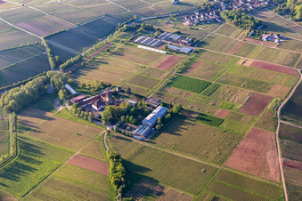 JKI, Vine Research Institute in Siebeldingen in the state Rhineland-Palatinate, Germany
