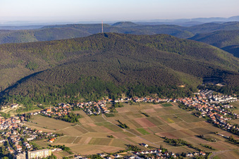 At the foot of the Weinbiet in the district Haardt in Neustadt an der Weinstraße in the state Rhineland-Palatinate, Germany
