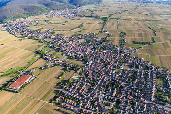 Oblique view of District Mußbach in Neustadt an der Weinstraße in the state Rhineland-Palatinate, Germany