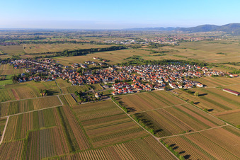 View from the north in Kirrweiler in the state Rhineland-Palatinate, Germany