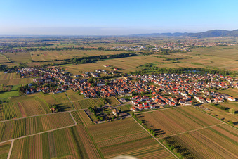 Aerial view of View from the north in Kirrweiler in the state Rhineland-Palatinate, Germany