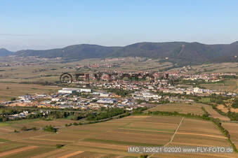 Aerial view of Edenkoben in the state Rhineland-Palatinate, Germany