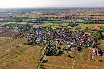 Aerial view of Venningen in the state Rhineland-Palatinate, Germany