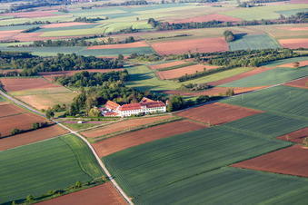 Workshop for hidden talents in Schweighofen in the state Rhineland-Palatinate, Germany