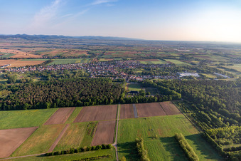 Drone image of District Schaidt in Wörth am Rhein in the state Rhineland-Palatinate, Germany