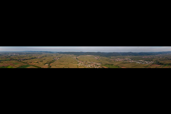Panoramic perspective Town View of the streets and houses of the residential areas in Edesheim and Edenkoben in the state Rhineland-Palatinate