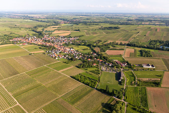View of the winegrowing village from the northwest in Göcklingen in the state Rhineland-Palatinate, Germany