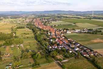 Aerial view of Village - view on the edge of agricultural fields and farmland in Freckenfeld in the state Rhineland-Palatinate, Germany