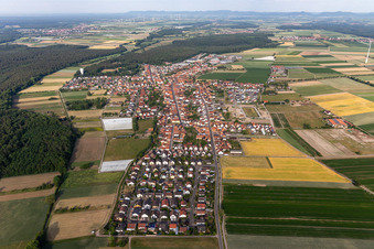 Oblique view of Hatzenbühl in the state Rhineland-Palatinate, Germany