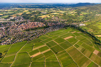 Wissembourg in the state Bas-Rhin, France from the drone perspective