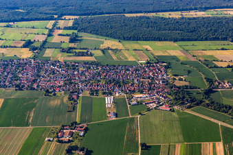 Oblique view of Minfeld in the state Rhineland-Palatinate, Germany