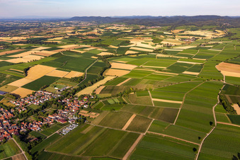 Aerial photograpy of Dierbach in the state Rhineland-Palatinate, Germany