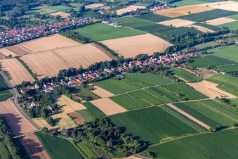 Vollmersweiler in the state Rhineland-Palatinate, Germany