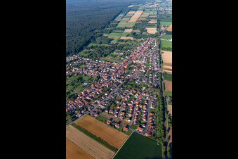 Aerial view of District Schaidt in Wörth am Rhein in the state Rhineland-Palatinate, Germany