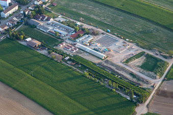 Kugelmann organic vegetables in Kandel in the state Rhineland-Palatinate, Germany
