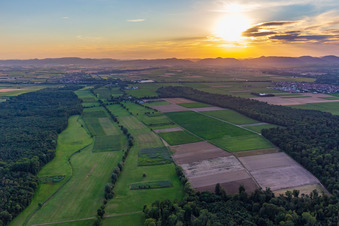 Flood ditch in Steinweiler in the state Rhineland-Palatinate, Germany