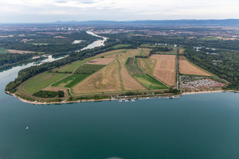 Kollersee, Koller Island in Brühl in the state Baden-Wuerttemberg, Germany