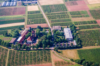 JKI Institute for Grape Breeding, BFA-Geilweilerhof (Vine Research Institute) in Siebeldingen in the state Rhineland-Palatinate, Germany