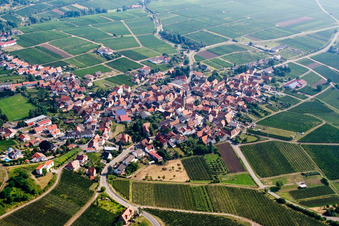 Wine-growing village between vineyards in Frankweiler in the state Rhineland-Palatinate, Germany