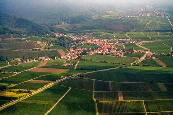 Wine-growing village from the south in Burrweiler in the state Rhineland-Palatinate, Germany
