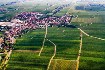 Aerial view of Wine-growing town from the southwest in Böchingen in the state Rhineland-Palatinate, Germany