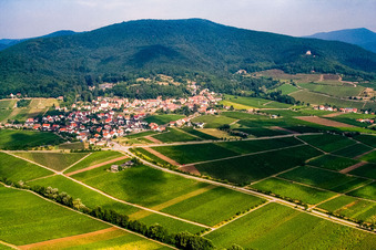 Aerial view of Wine-growing village from the southeast in Gleisweiler in the state Rhineland-Palatinate, Germany