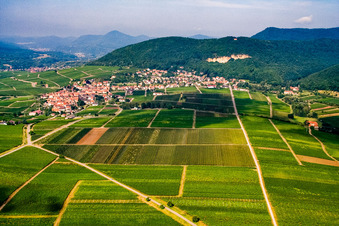 Wine-growing village from the northeast in Frankweiler in the state Rhineland-Palatinate, Germany