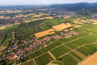 Aerial photograpy of Niederhorbach in the state Rhineland-Palatinate, Germany