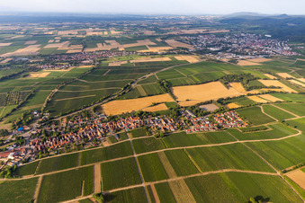 Oblique view of Niederhorbach in the state Rhineland-Palatinate, Germany