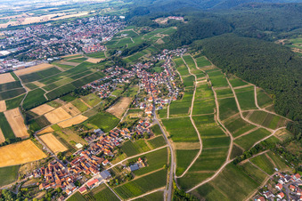 District Pleisweiler in Pleisweiler-Oberhofen in the state Rhineland-Palatinate, Germany from above