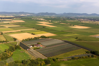 Aerial view of Lindenhof Gensheimer in Steinweiler in the state Rhineland-Palatinate, Germany