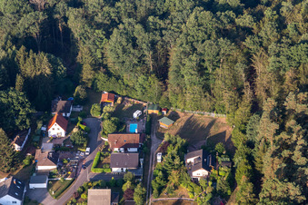Aerial photograpy of Rocky path in Ludwigswinkel in the state Rhineland-Palatinate, Germany
