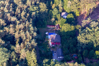 At the Saufelsen in Ludwigswinkel in the state Rhineland-Palatinate, Germany