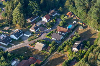 Oblique view of Rocky path in Ludwigswinkel in the state Rhineland-Palatinate, Germany