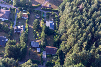 At the Sägmühlweiher from the northwest in Ludwigswinkel in the state Rhineland-Palatinate, Germany