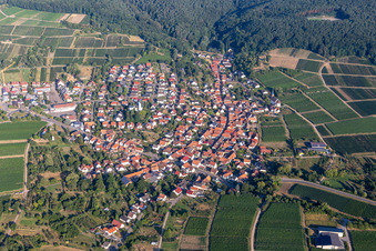 Aerial view of District Rechtenbach in Schweigen-Rechtenbach in the state Rhineland-Palatinate, Germany