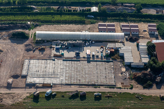 Kugelmann Biogemüse New production hall in Kandel in the state Rhineland-Palatinate, Germany